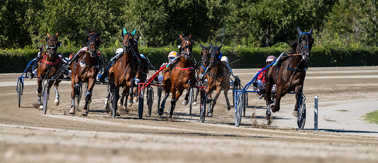 Horse Racing with Carts
