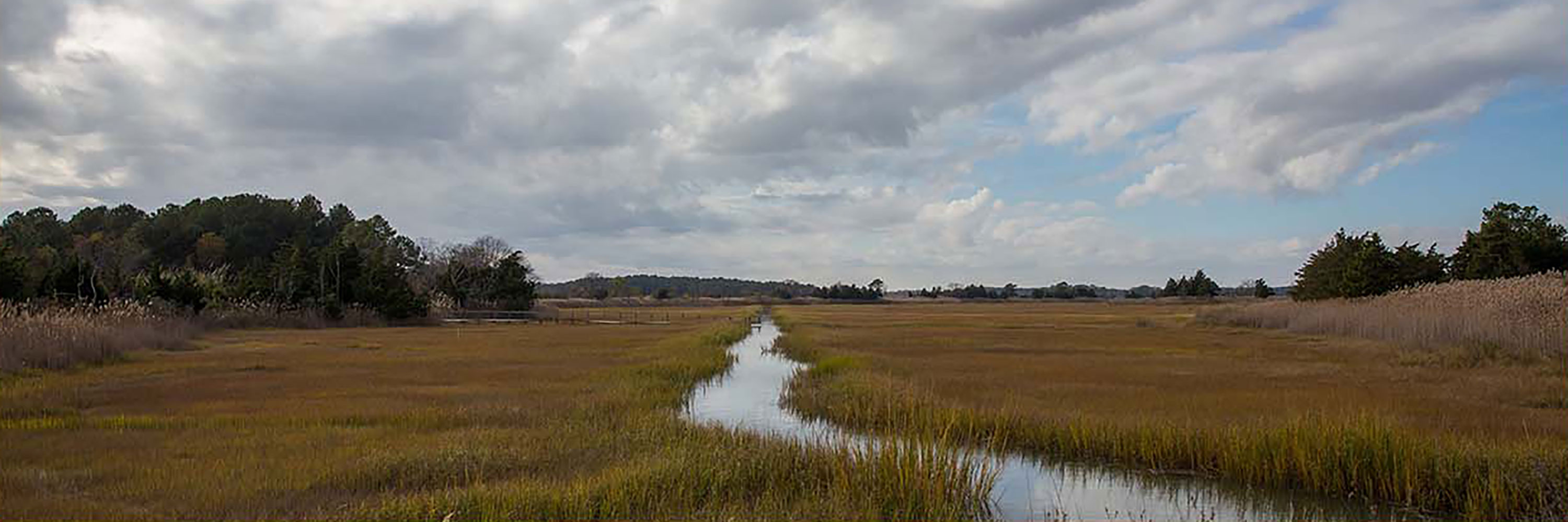 A photo of Delaware nature