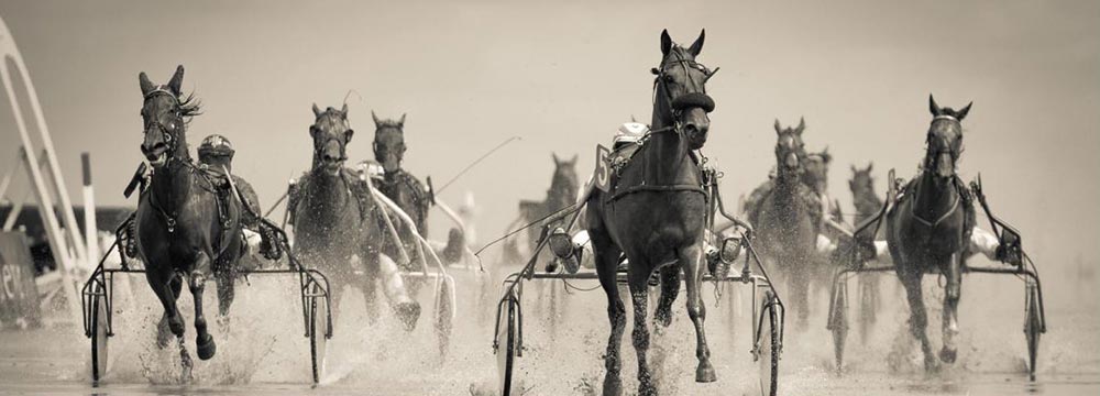Photo of horses racing